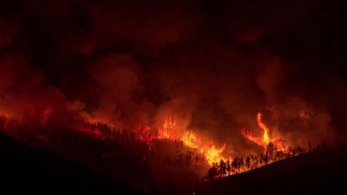 Arde Galicia: varios incendios forestales siembran el caos en Lugo y Orense, con 600 hectáreas calcinadas