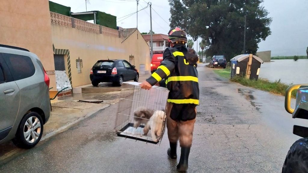Las espectaculares imágenes de los boinas verdes en acción por la DANA