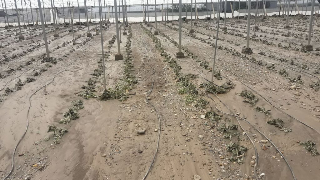invernadero destruido
