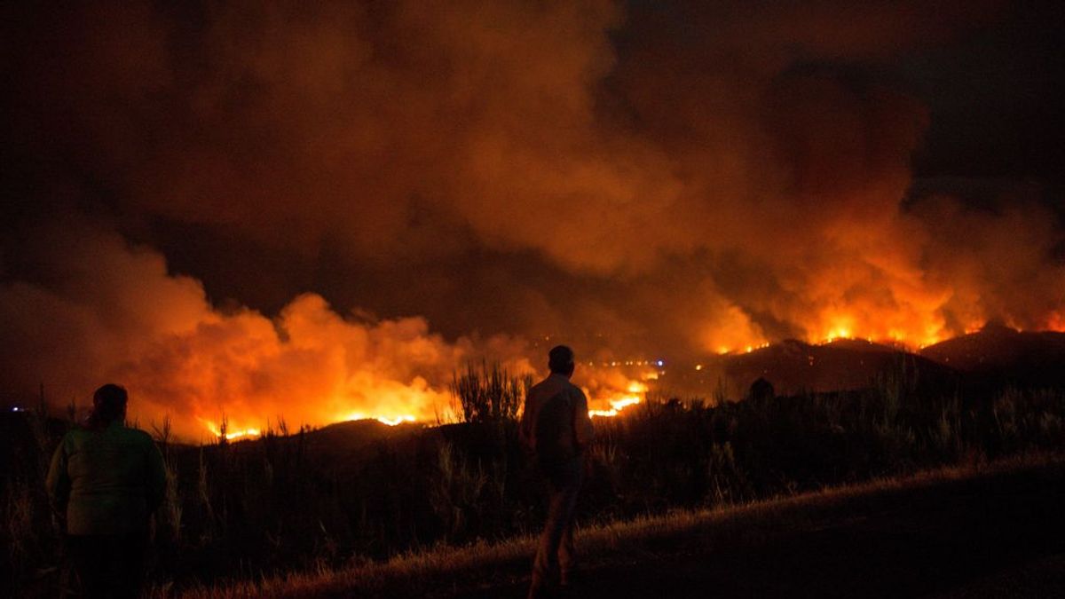Incendios en Galicia: Permanece estabilizado el de A Gudiña y se da por extinguido el de Palas de Rei