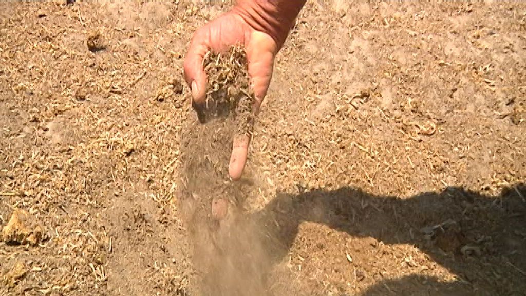Campo seco sin pasto
