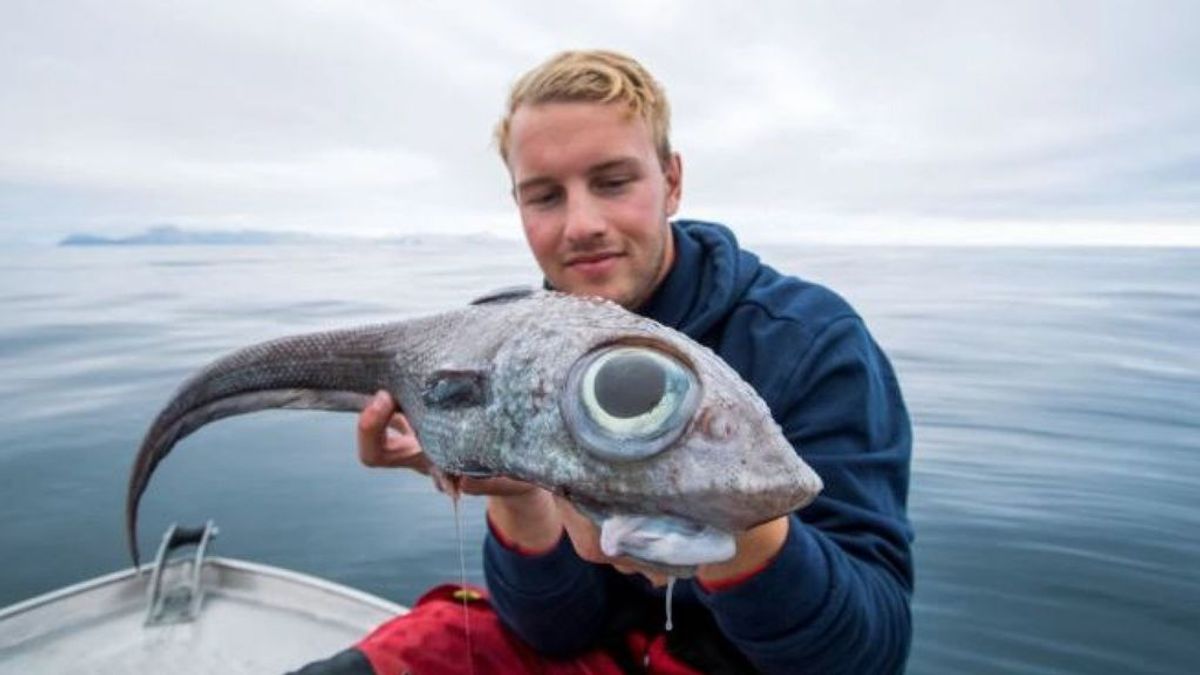 Óscar Lundahl junto al pez que pescó,  una 'quimera común'