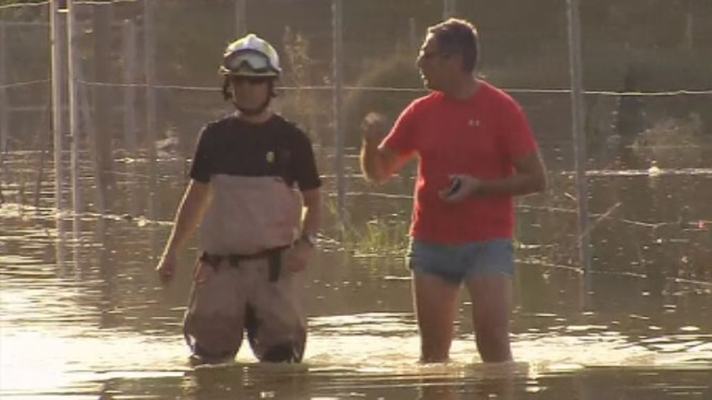 Siguen limpiando con el agua a la cintura en Alicante
