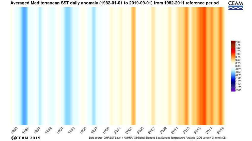 SST-NCEI-anomaly-warming-stripe