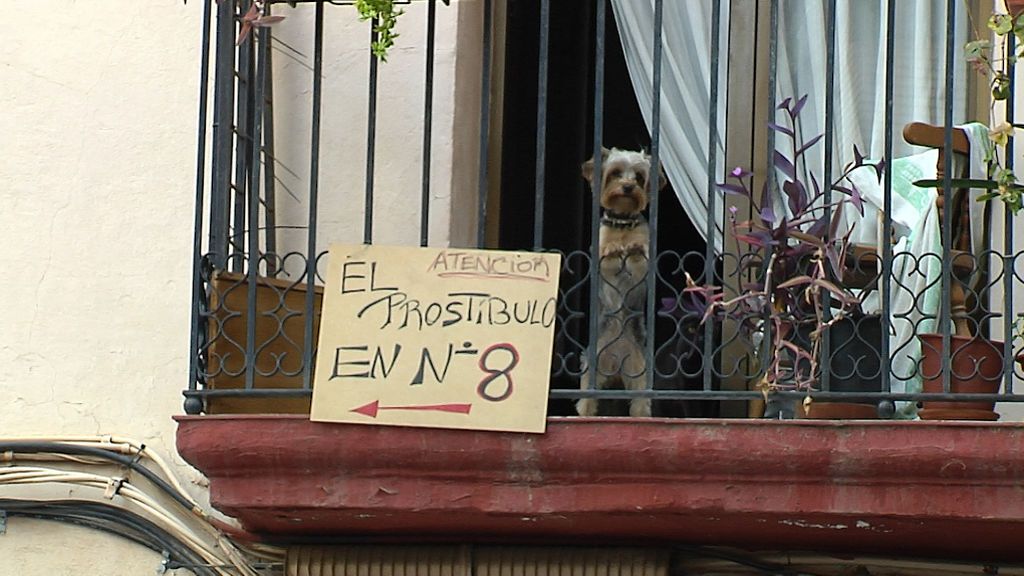 casa perro ok