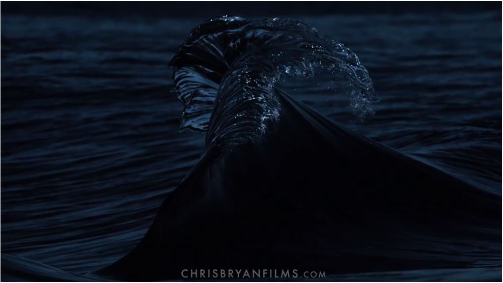 'Mocean', proyecto visual del fotógrafo Chris Bryan