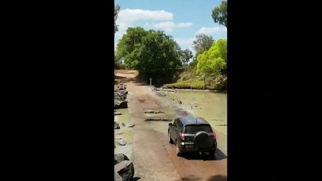 Australia, el lugar donde puedes encontrar cocodrilos en la carretera