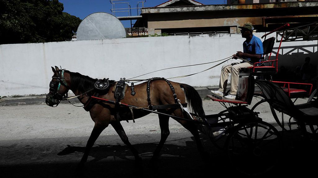 Cuba recurre a caballos y bueyes para paliar su crisis de combustible Cuba recurre a caballos y bueyes para paliar su crisis de combustible