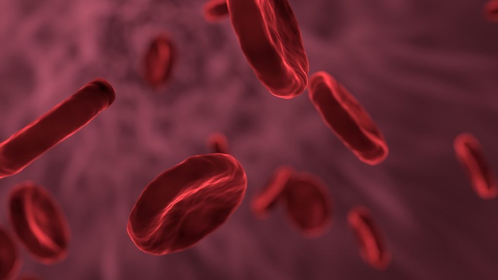 Investigadores encuentran un nuevo método para acabar con una bacteria resistente a los antibióticos Investigadores encuentran un nuevo método para acabar con una bacteria resistente a los antibióticos
