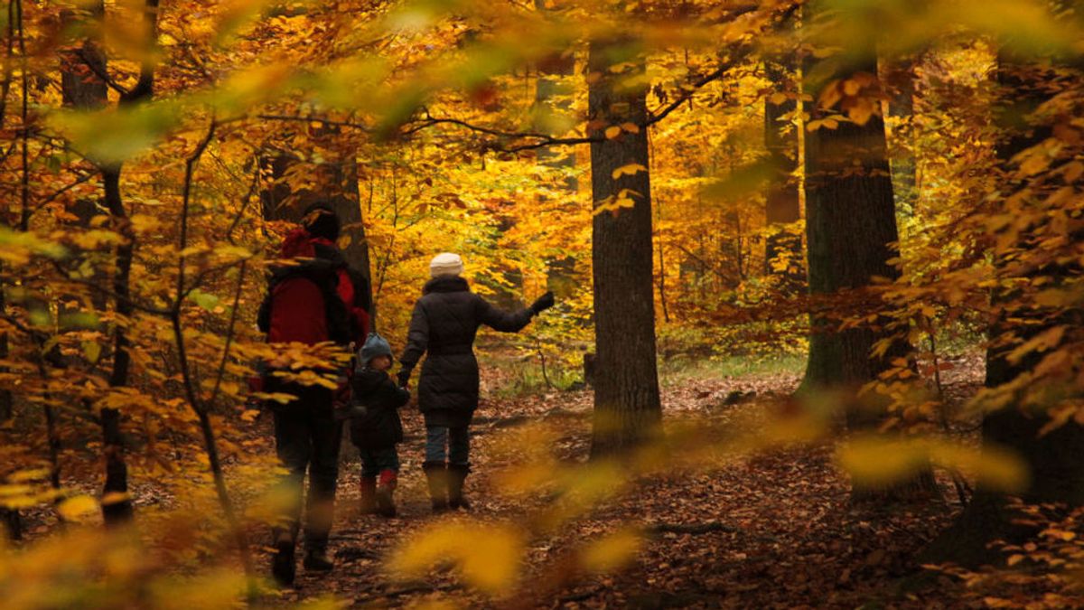 En la imagen, una madre y su hijo caminan en un bosque de Viena En la imagen, una madre y su hijo caminan en un bosque de Viena