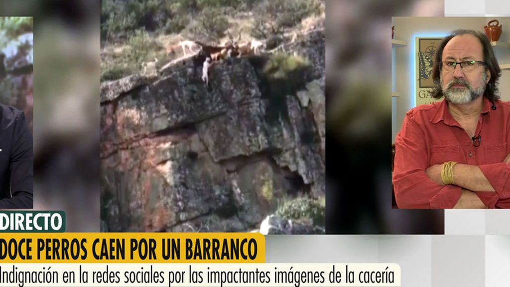 Luis Miguel Domínguez distribuyó el vídeo de los perros cayendo por un barranco