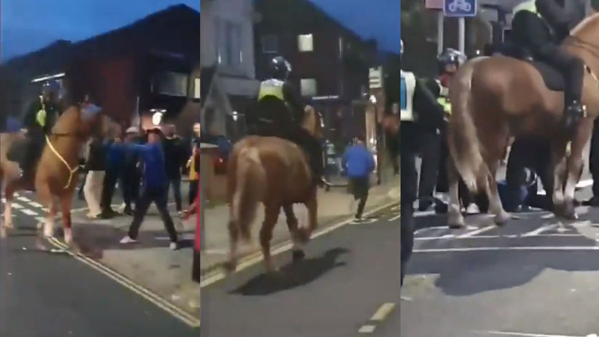 Un hooligan inglés se lía a puñetazos con un caballo de la policía antes de ser detenido Un hooligan inglés se lía a puñetazos con un caballo de la policía antes de ser detenido