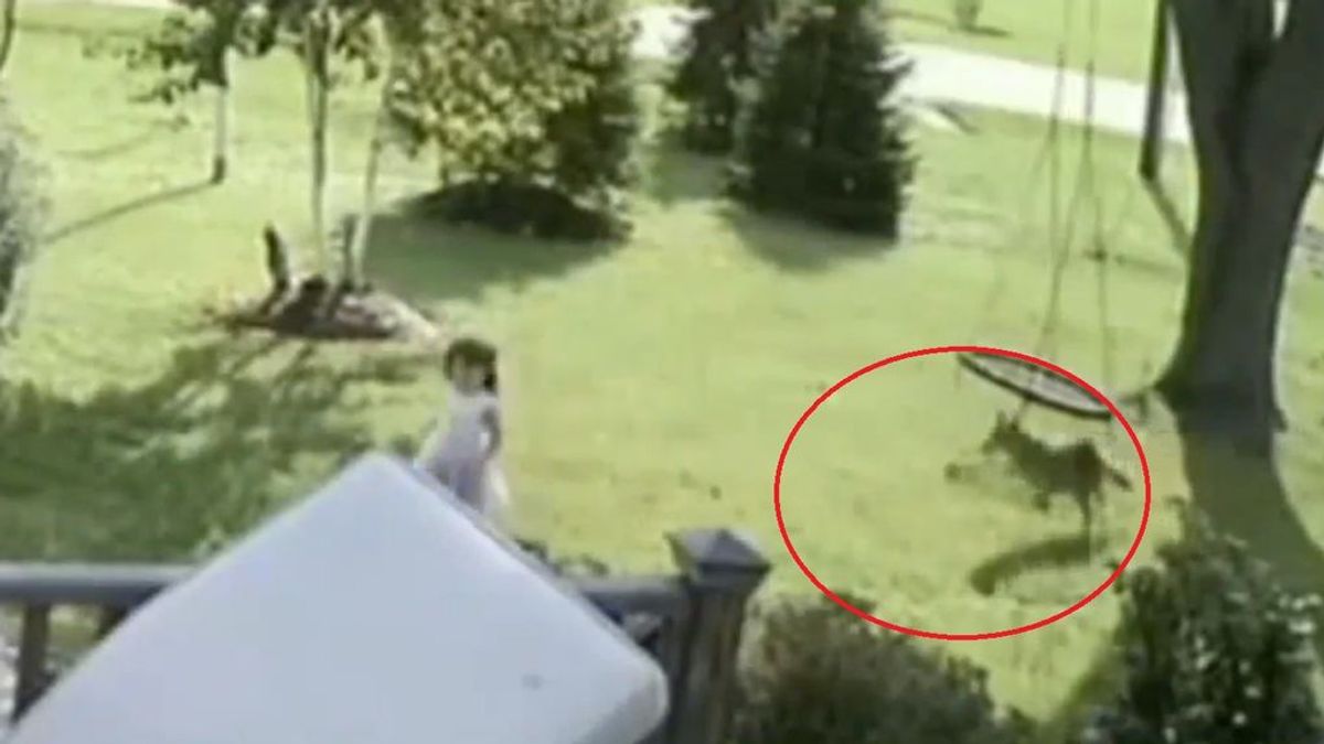 Una niña de 5 años logra huir del ataque de un coyote mientras jugaba en el patio de su casa