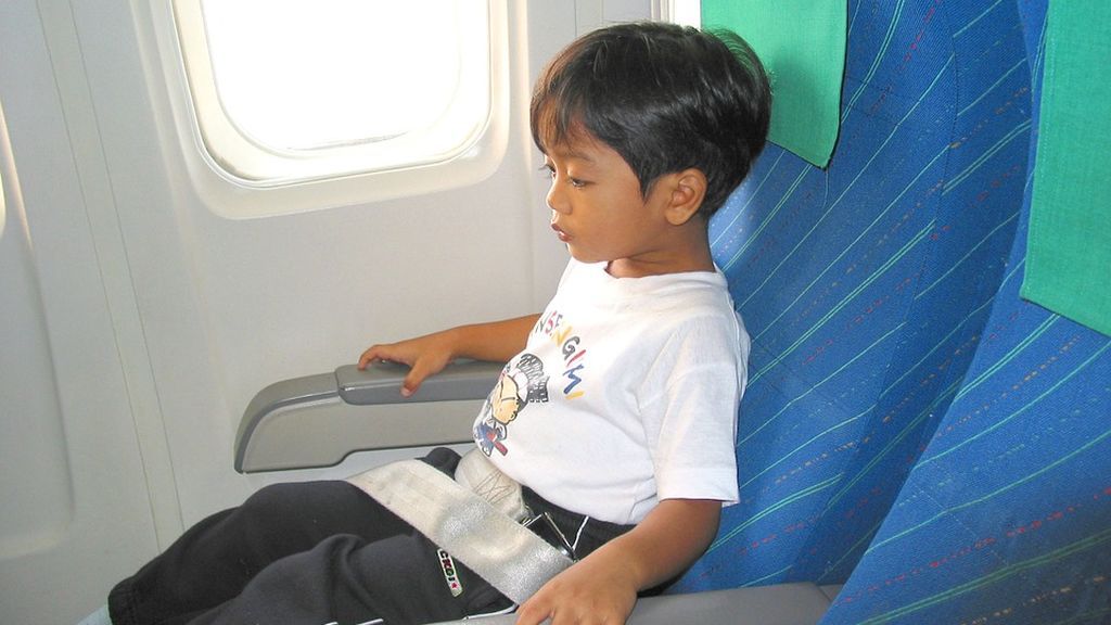 Bebés que gritan en el avión: Japan Airlines presenta una herramienta que indica los asientos en los que viajaran bebés Bebés que gritan en el avión: Japan Airlines presenta una herramienta que indica los asientos en los que viajaran bebés