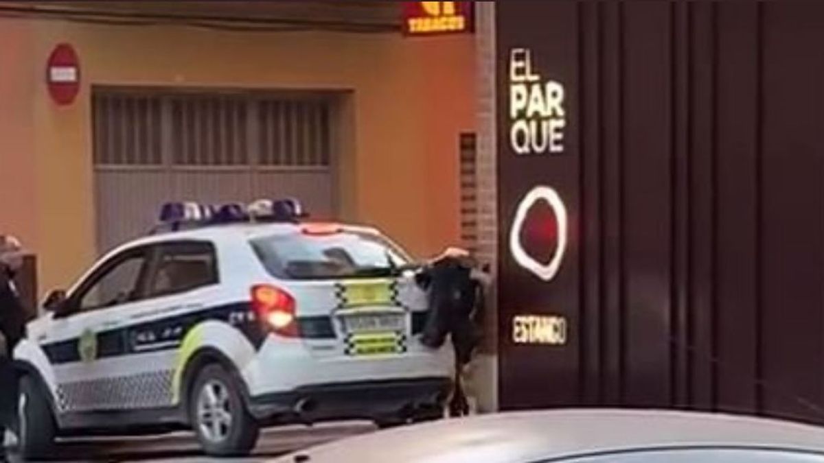 Un toro se escapa de la plaza de Toros de Algamesí y recorre varias calles de la localidad Un toro se escapa de la plaza de Toros de Algamesí y recorre varias calles de la localidad