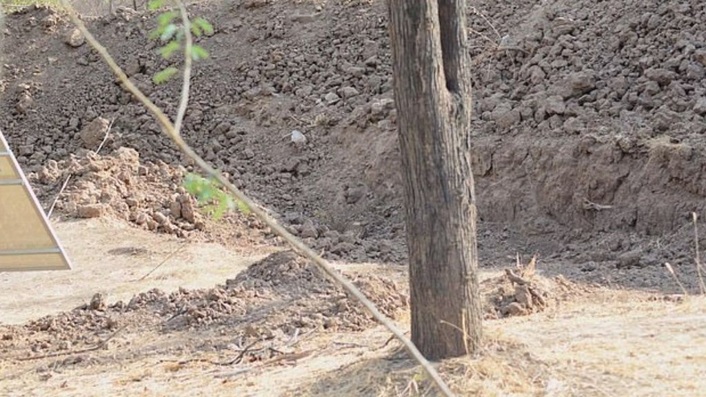 La imagen del leopardo 'oculto' causa furor en la red: encontrarlo, todo un reto La imagen del leopardo 'oculto' causa furor en la red: encontrarlo, todo un reto