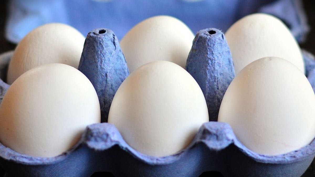 Retiran 1.125 docenas de huevos en locales hosteleros de Vizcaya tras 40 casos de salmonelosis