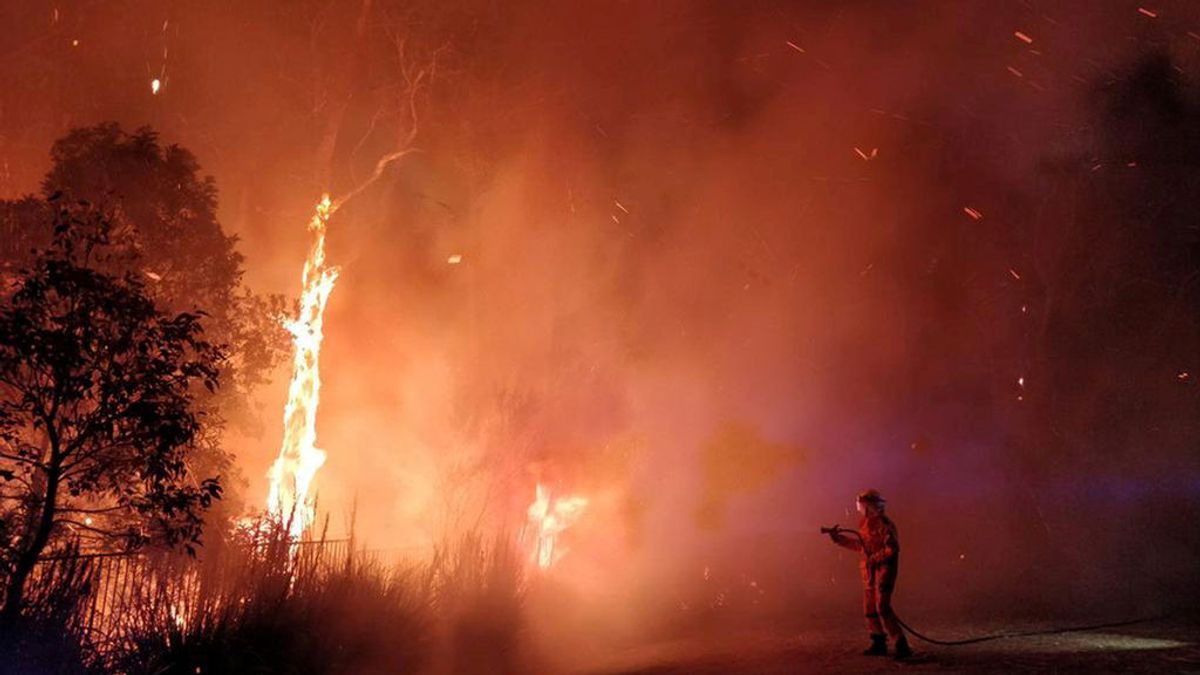 Un gel antincendios forestales, la esperanzadora solución de los científicos para combatir el fuego