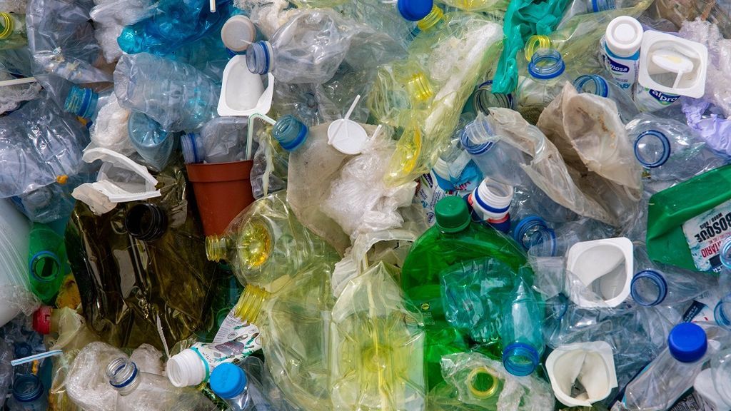 Comemos plástico, orinamos plástico: los riesgos de la dieta plastificada Comemos plástico, orinamos plástico: los riesgos de la dieta plastificada