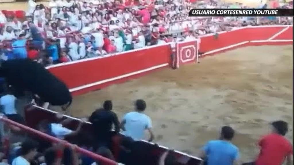 Un toro embiste a varias personas al saltar la barrera de la plaza de Cortes (Navarra)