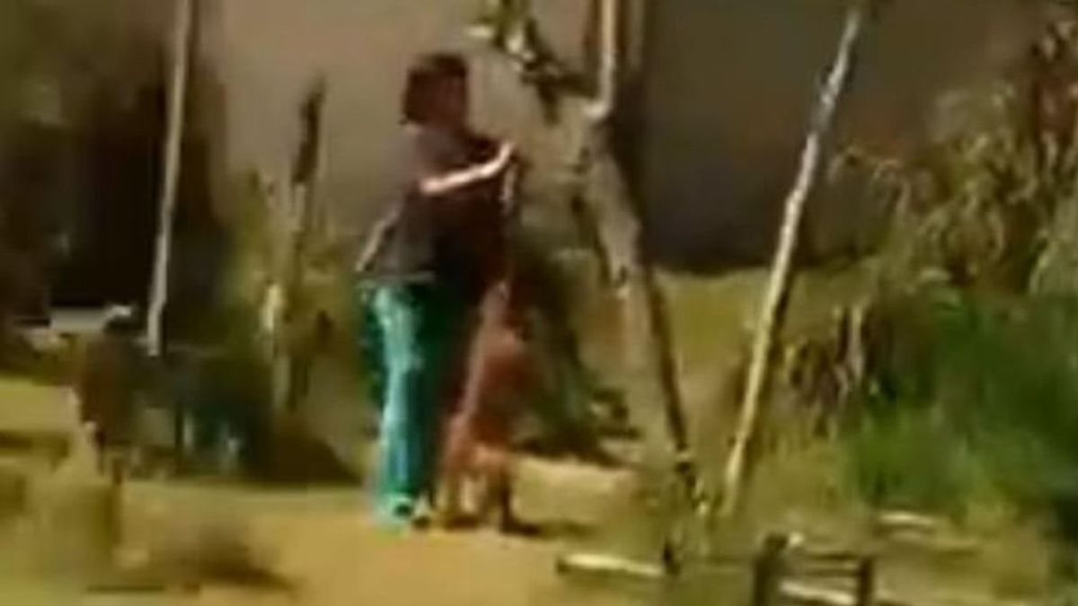 Una niña de 10 años graba el momento en el que una mujer apuñala y ahorca al perro de un vecino