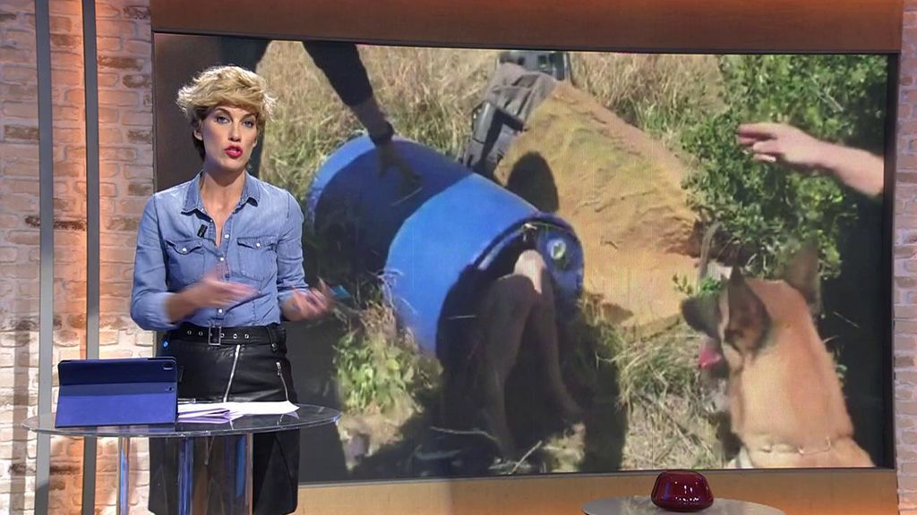 Imágenes exclusivas del crimen de Godella