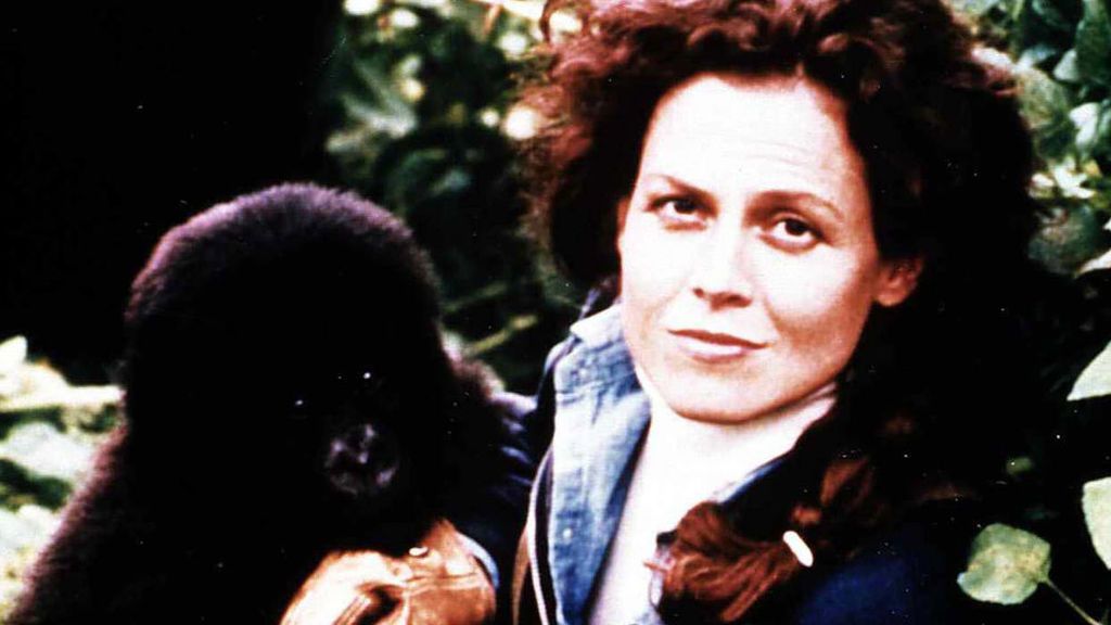Imagen promocional de 'Gorilas en la niebla' (1988)