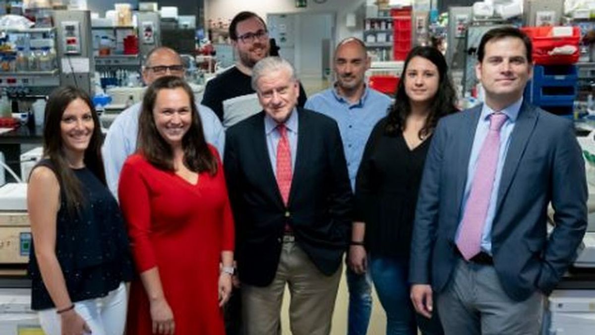 Un tratamiento con un anticoagulante oral permite retrasar el Alzheimer en ratones Un tratamiento con un anticoagulante oral permite retrasar el Alzheimer en ratones