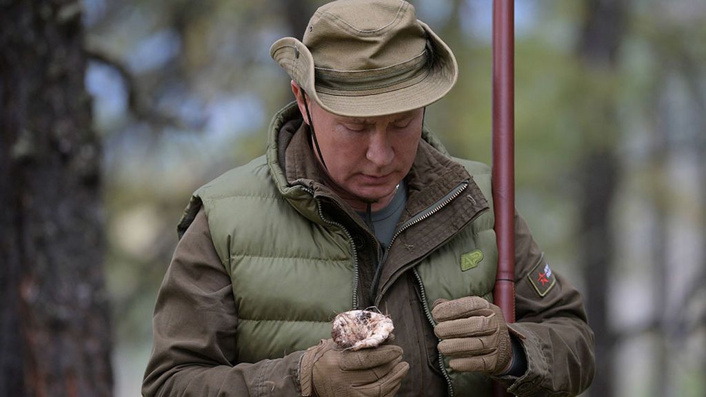 Putin recogiendo setas