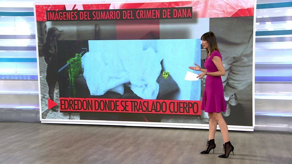 Patricia Pardo explica las imágenes clave del sumario por el crimen de Dana