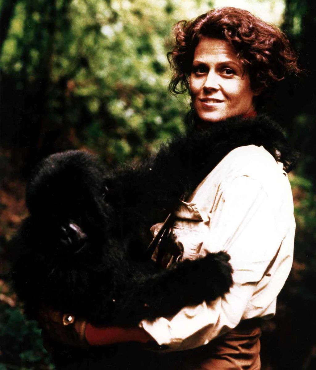 Por no hablar de 'Gorilas en la niebla', por la que ganó su primer Globo de oro a mejor actriz