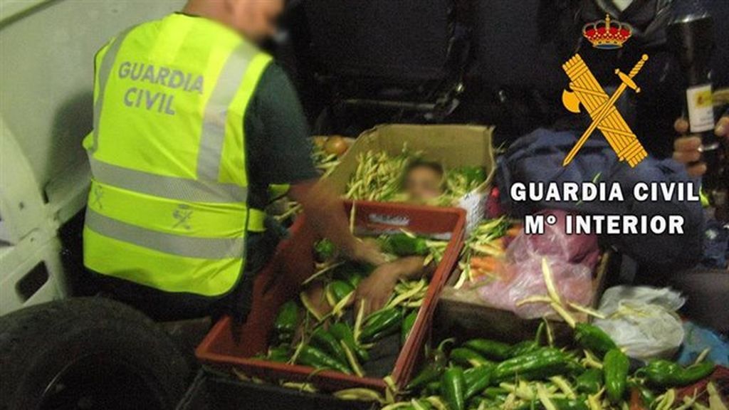 Auxilian a una persona que viajaba oculta en cajas de hortalizas en Almería Auxilian a una persona que viajaba oculta en cajas de hortalizas en Almería