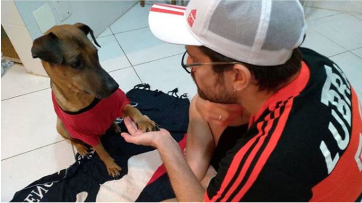 Emotivo acto de un hincha de fútbol: vende sus entradas de la Copa Libertadores para salvar a su perro con cáncer