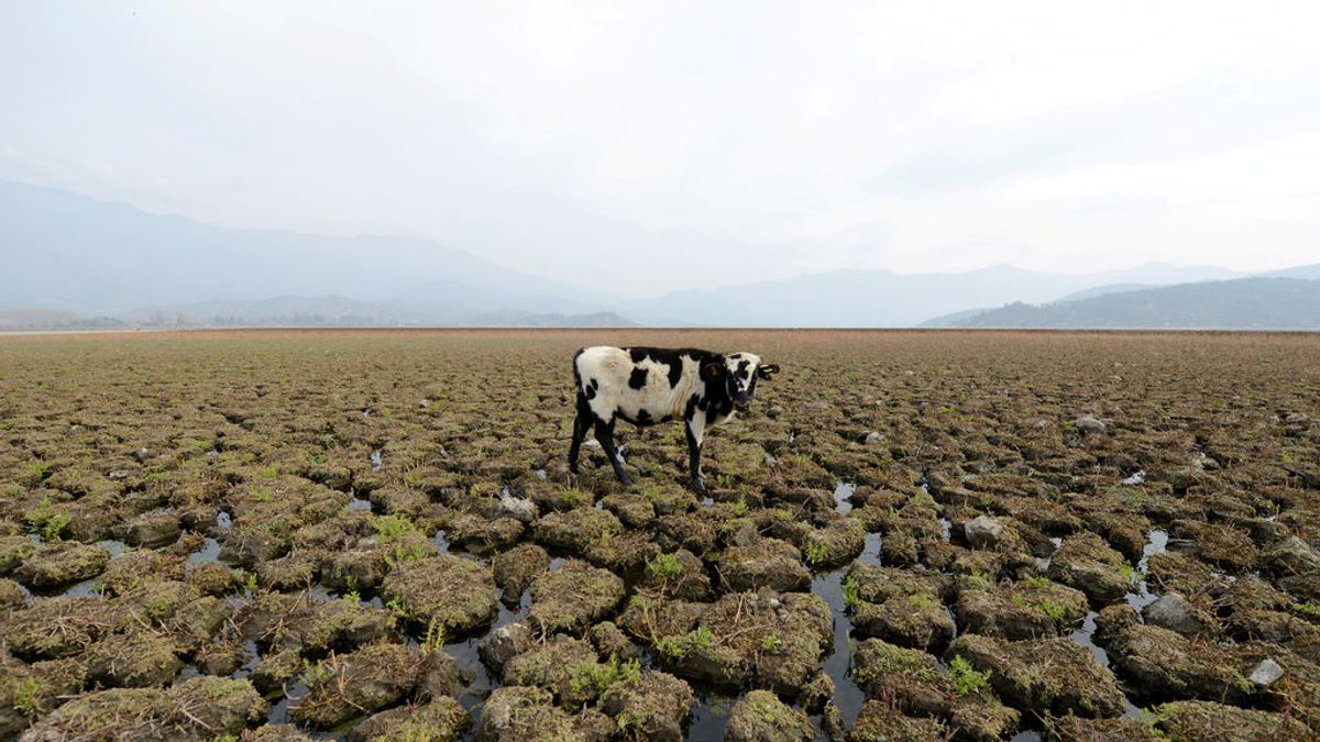 Cuarto año hidrológico más seco del siglo: la sequía que arrastramos empezó en invierno