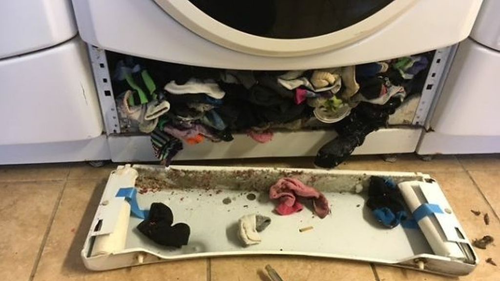 No hay leyenda: la lavadora sí se come nuestros calcetines y estas son las pruebas