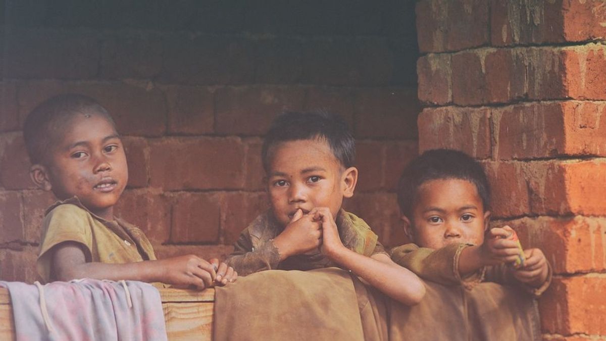 El salvado de arroz: la posible solución para ayudar a frenar la desnutrición en países subedarrollados
