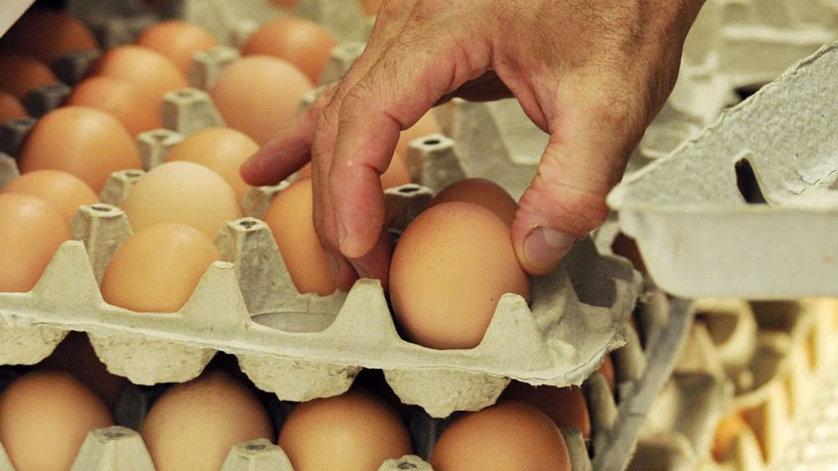 Los españoles desperdician casi 200 millones de huevos al año