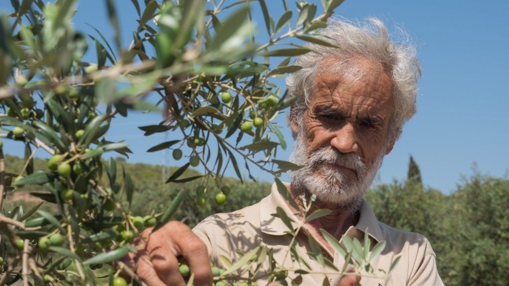 Manuel Belles. Finca Bordamus