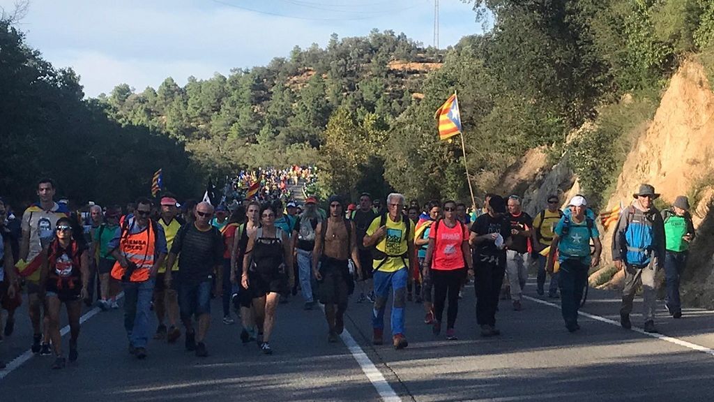 marcha ok