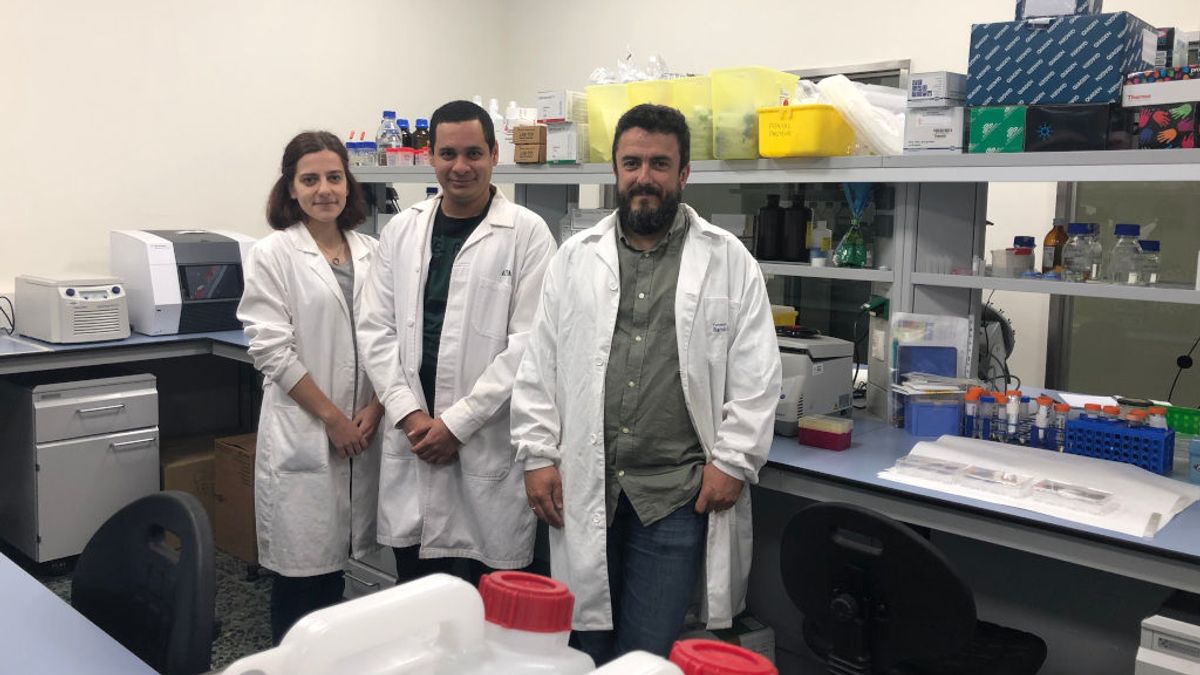 Más cerca del elixir de la juventud: identifican fármacos para luchar contra el envejecimiento Más cerca del elixir de la juventud: identifican fármacos para luchar contra el envejecimiento