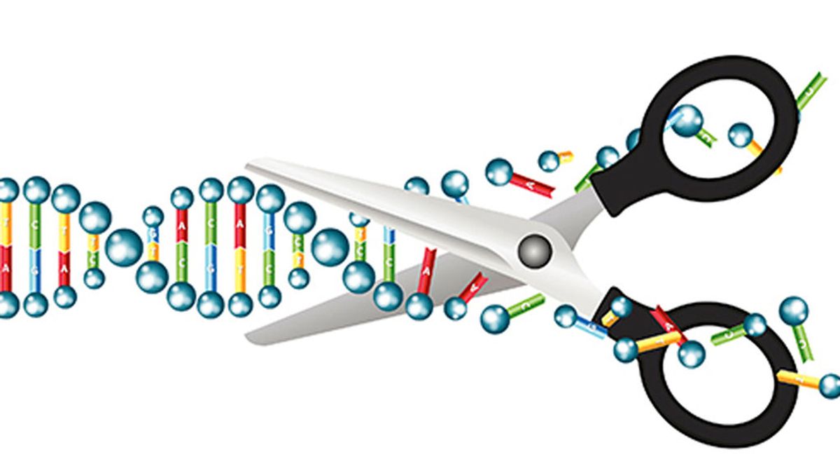 Desarrollan una técnica para editar el ADN y evitar la enfermedades de origen genético