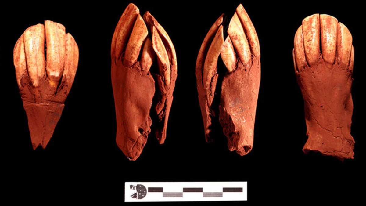 Aparecen objetos desconocidos en la sepultura de un niño Selk’nam en Tierra del Fuego, tribu de América del Sur