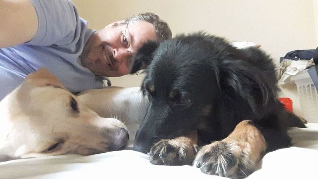 Brazilian-priest-welcomes-stray-dogs-inside-church-to-be-adopted-5daff6fa73060__700