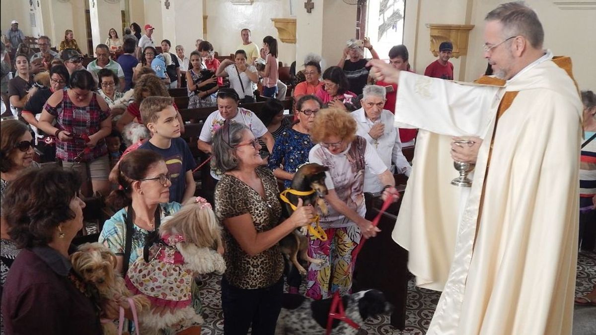 Un sacerdote brasileño da misa con los perros callejeros que rescata para encontrarles un hogar