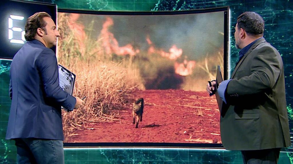 Las fake news del incendio del Amazonas