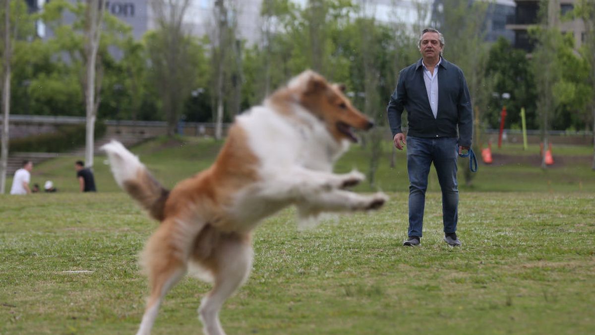 Un hijo drag queen y un perro 'instagramer': los pilares del nuevo presidente argentino Alberto Fernández Un hijo drag queen y un perro 'instagramer': los pilares del nuevo presidente argentino Alberto Fernández
