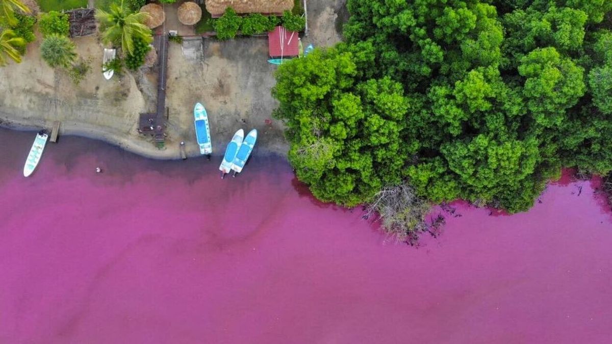 Una fuerte tormenta vuelve rosa una laguna en México