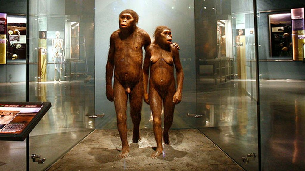 Una investigación ubica por primera vez la zona del sur de África donde surgió el homo sapiens sapiens Una investigación ubica por primera vez la zona del sur de África donde surgió el homo sapiens sapiens