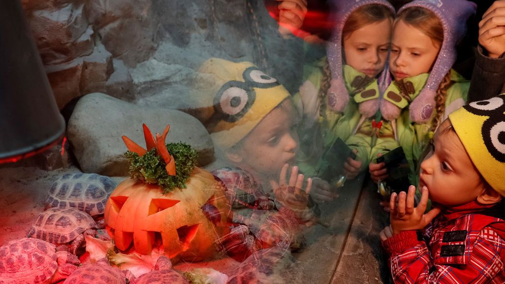 2019 será uno de los años que más dinero se gastará en EE.UU.  para celebrar Halloween desde la crisis del 2008