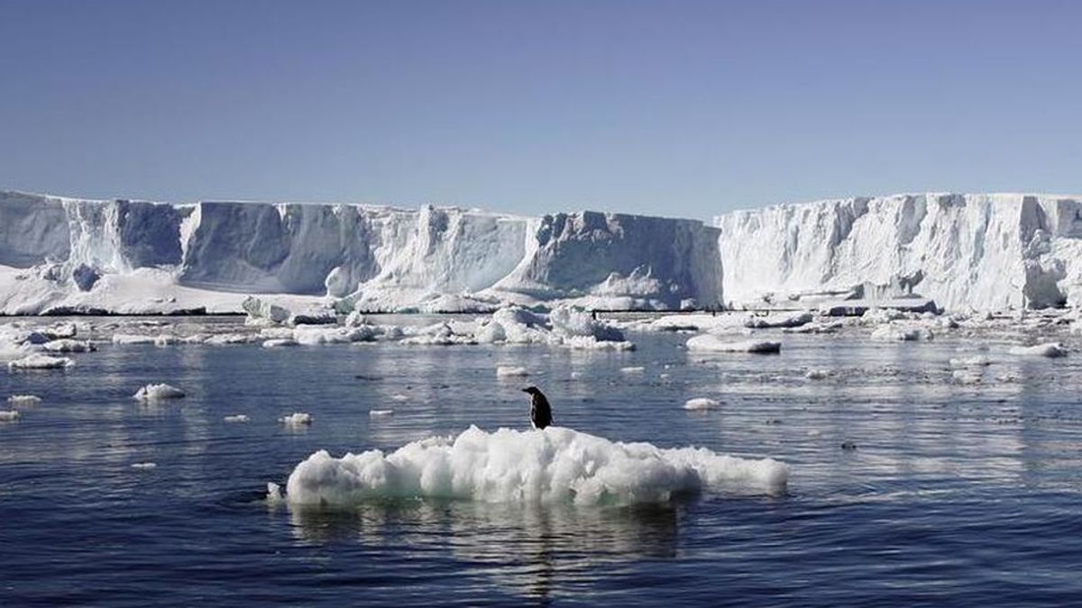 El aumento del hielo marino en la Antártida podría generar otra edad de hielo